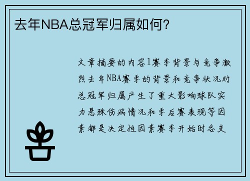 去年NBA总冠军归属如何？